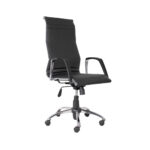 صندلی مدیریتی لیو D81t